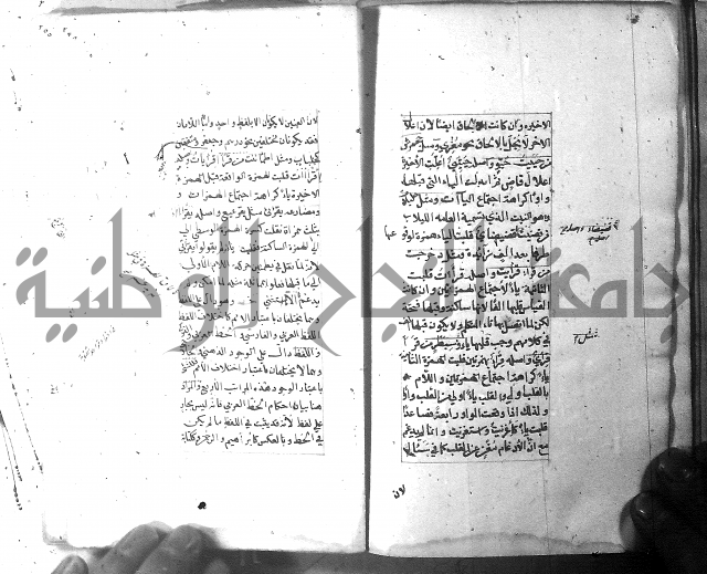 شرح الشافية 