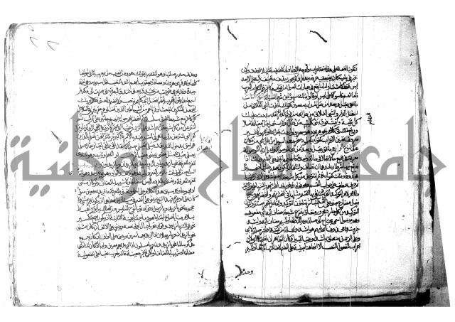 شرح شذور الذهب لابن هشام