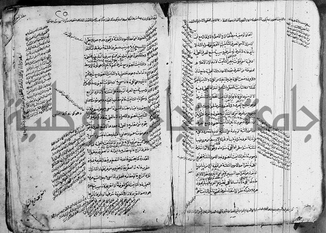 فوائد على الكافية 