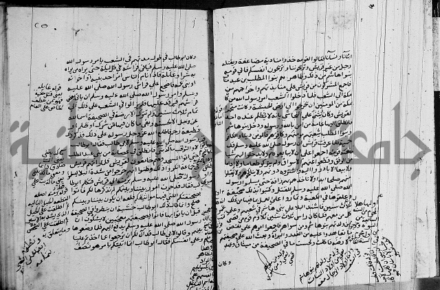 السيرة النبوية