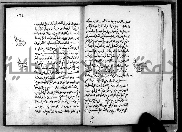 الفتاوى الامينية