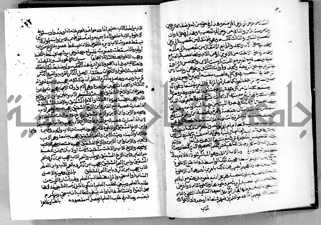 مختصر حاشية القهوتي 