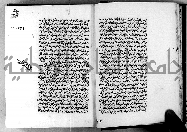 الجواهر الدورية في تنقيح الفتاوى الحامدية ج2 