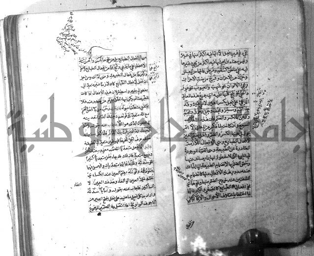 شرح الشافية 
