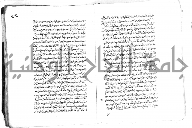 تحفة بن عبد مناف