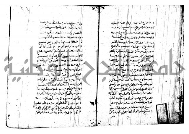 منية المصلي للنصراوي