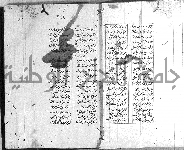 نظم تركي
