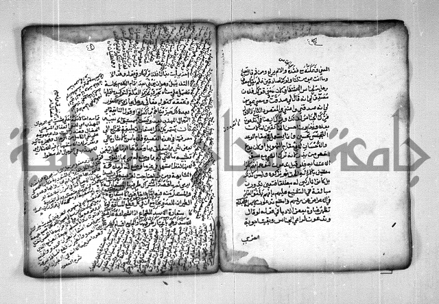 شرح الهمزية  