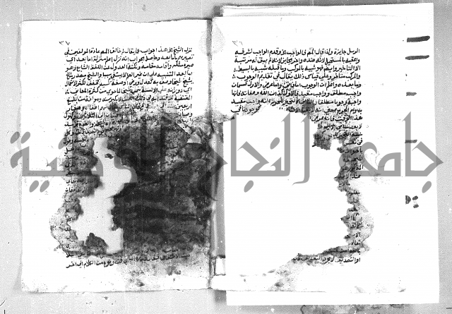 الهدهدي 
