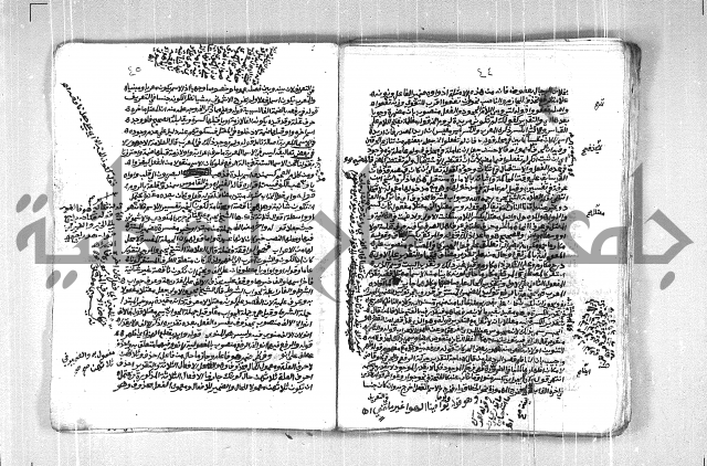 فتح الجليل  على شرح ابن عقيل 