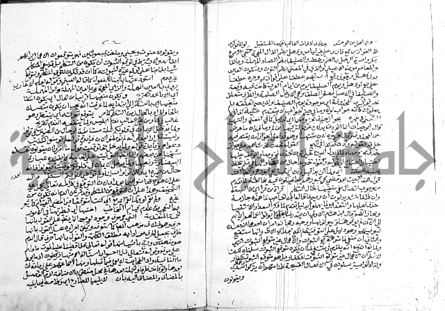 كتاب في اللغة العربية