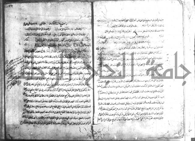 منية الفتى 