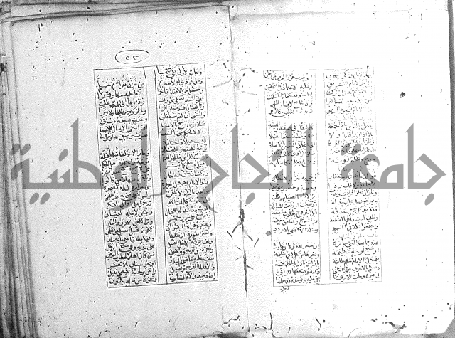 خلاصة التنوير 