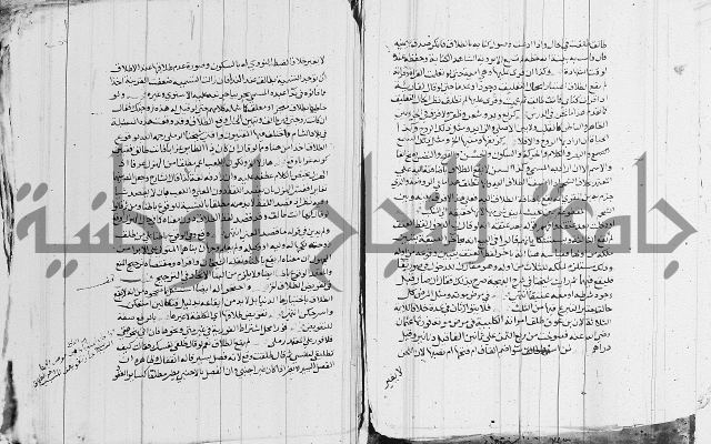 الزيادي على المنهج 