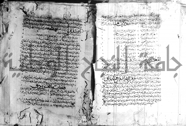 شرح لامية العجم 