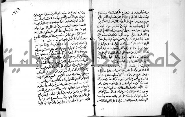 البحر الفائض في شرح ديوان ابن الفارض البوريني 