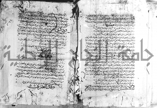 شرح لامية العجم 