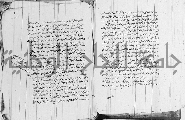 الزيادي على المنهج 