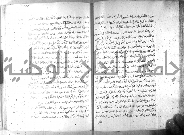 صحيح مسلم ج 2 