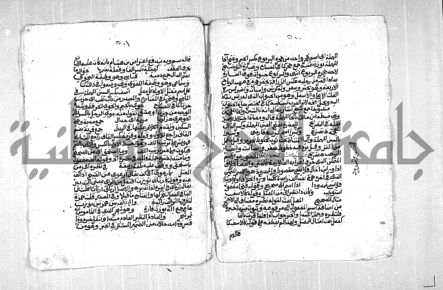 فتح الجليل  على شرح ابن عقيل 