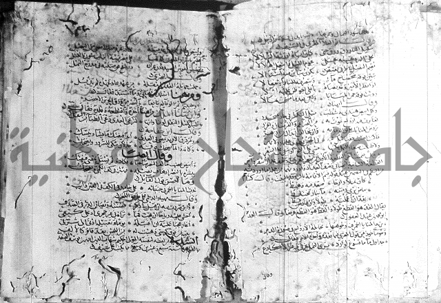 شرح لامية العجم 