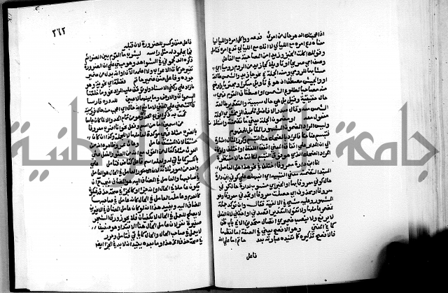 الشرح الازهرية في علم العربية 