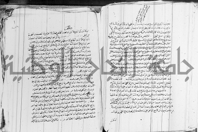 الزيادي على المنهج 