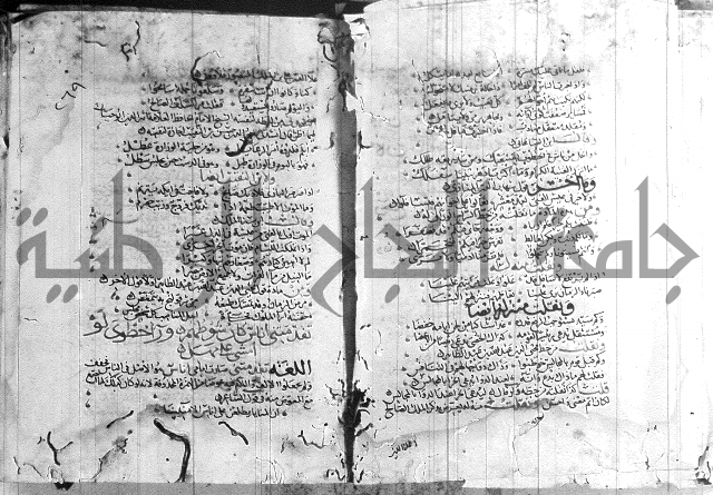 شرح لامية العجم 