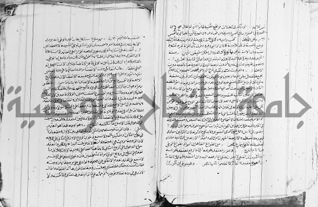 الزيادي على المنهج 