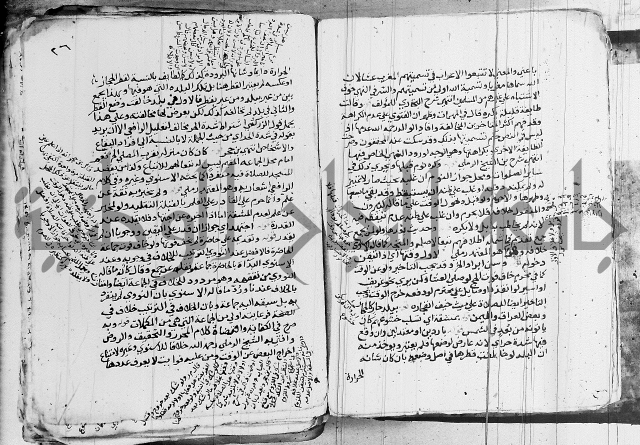 الزيادي على المنهج 
