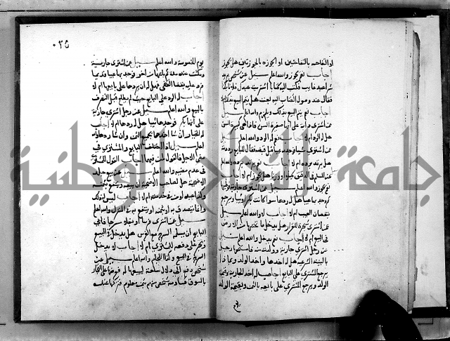 الفتاوى الامينية