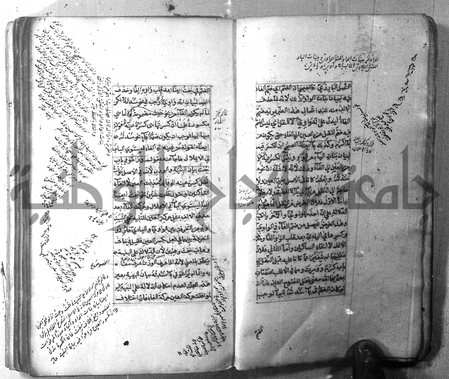 شرح الشافية 