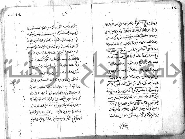 التفنن في الصرف