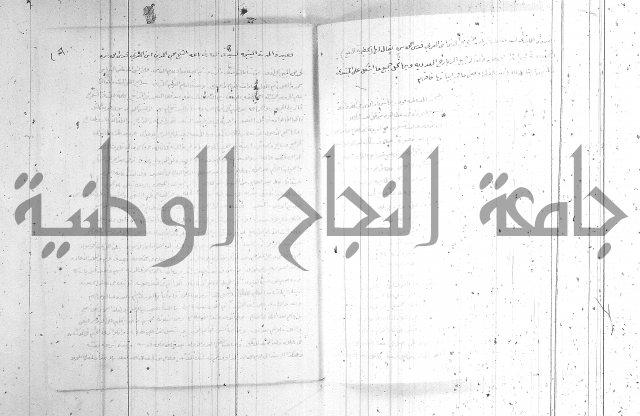 اصول معرفة النسب