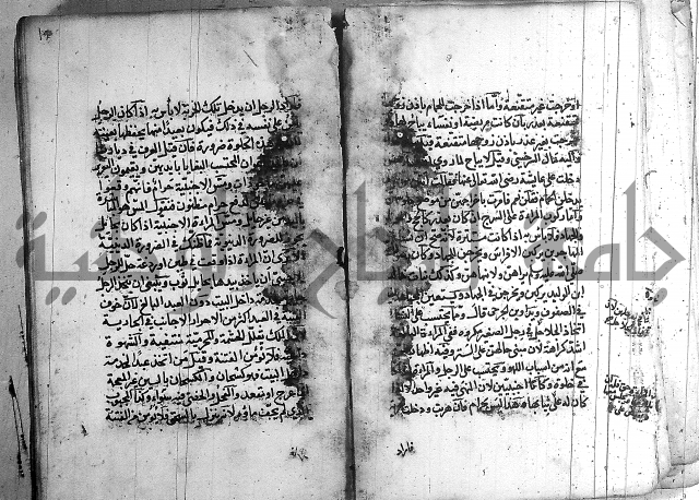 رسالة في الاحتساب