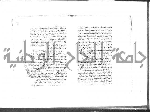 كتاب شرح الألفية للعلامة بن عقيل