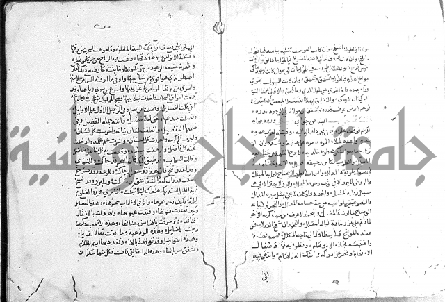 كتاب في الادب 