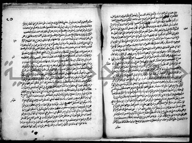 حاشية السجاعي على شرح قطر الندى وبل الصدى لابن هشام