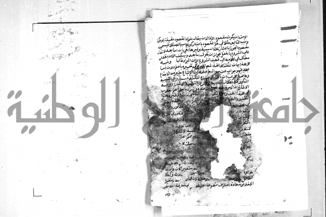 الهدهدي 