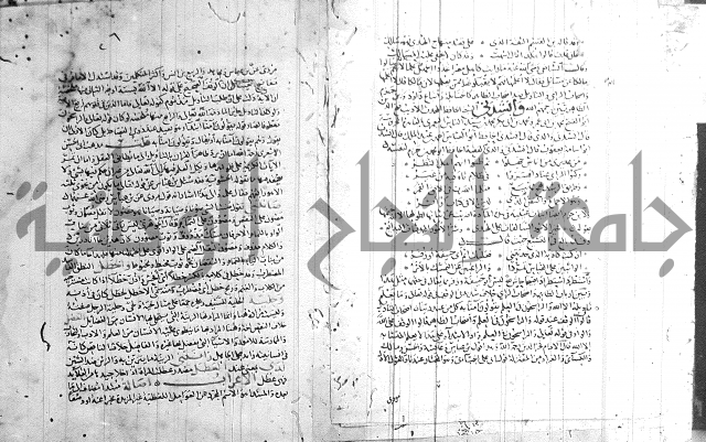 شرح لامية العجم 