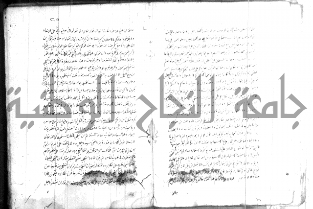 الظهار 