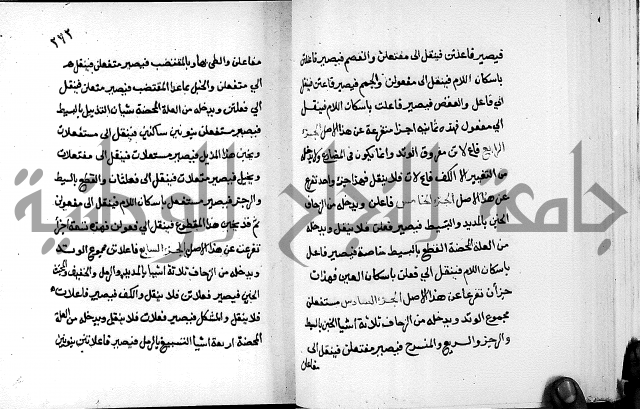 مختصر حاشية القهوتي 