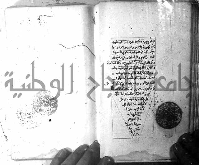 شرح الشافية 