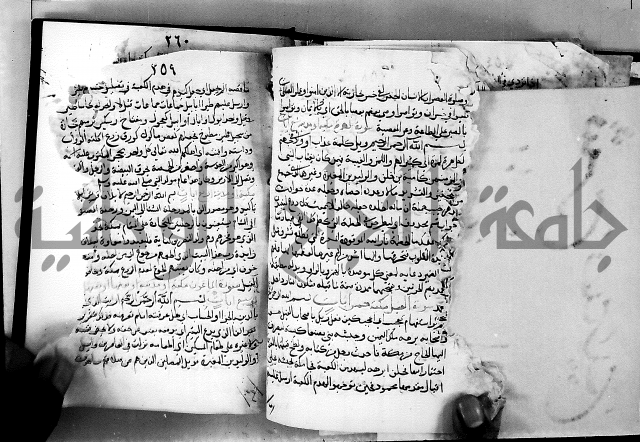 الجزء الثاني من تفسير الجلالين للمحلي