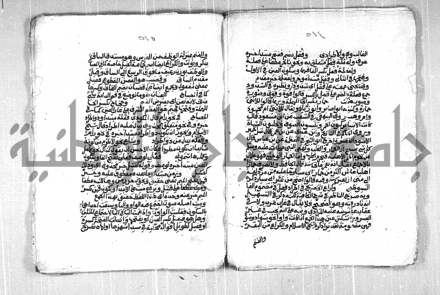 فتح الجليل  على شرح ابن عقيل 