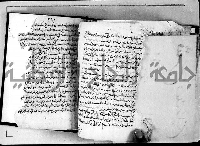 الجزء الثاني من تفسير الجلالين للمحلي