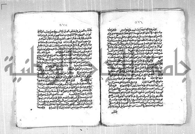 فتح الجليل  على شرح ابن عقيل 