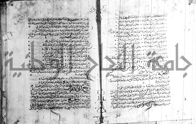 شرح لامية العجم 