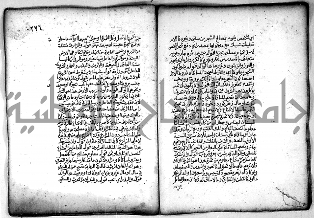 فقة من مخطوطات مسجد الحاج نمر النابلسي 