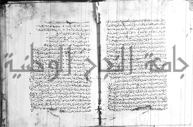 شرح لامية العجم 